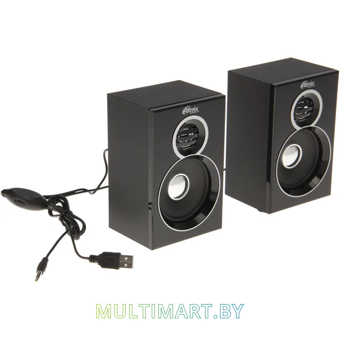 Акустика Ritmix SP-2013W